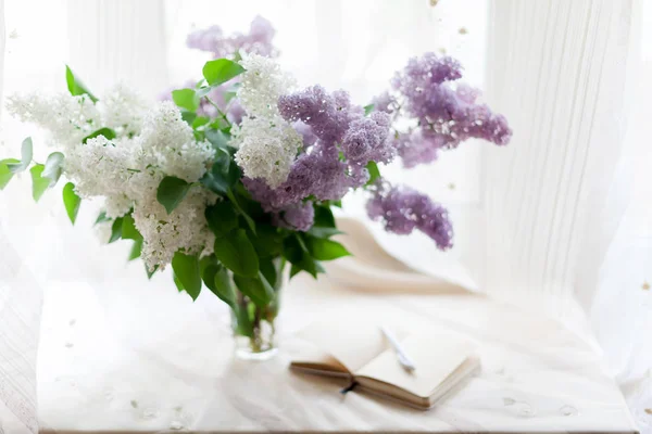 Still Life White Violet Lilac Windowsill — Stock Photo, Image