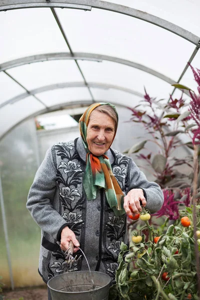 Ηλικιωμένη γιαγιά με εργαλεία κηπουρικής σε θερμοκήπιο — Φωτογραφία Αρχείου