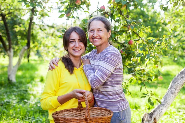 Літня жінка з дорослою дочкою в яблучному саду . — стокове фото