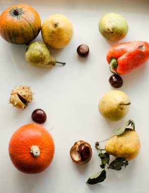 Turuncu balkabaklarıyla hayat 