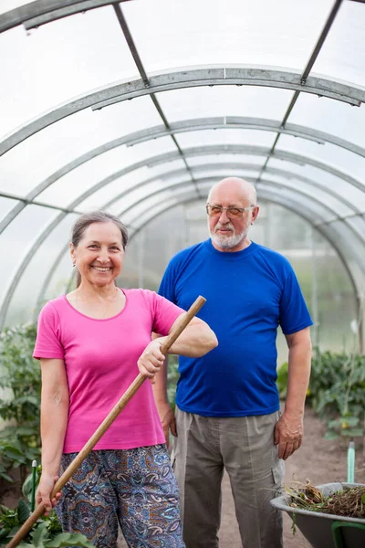Ηλικιωμένοι άνδρες και γυναίκες που εργάζονται στον κήπο λαχανικών — Φωτογραφία Αρχείου