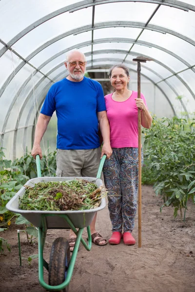 Persone in serra con accessori da giardino — Foto Stock