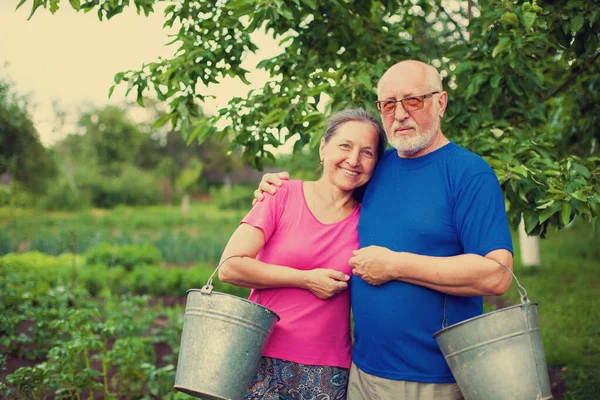 People in  vegetable  garden with  buckets — Stock Photo, Image