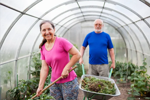 Two elderly people in   greenhouse — Stok Foto