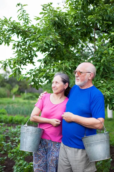 Elderly people in  vegetable  garden — Stock Photo, Image