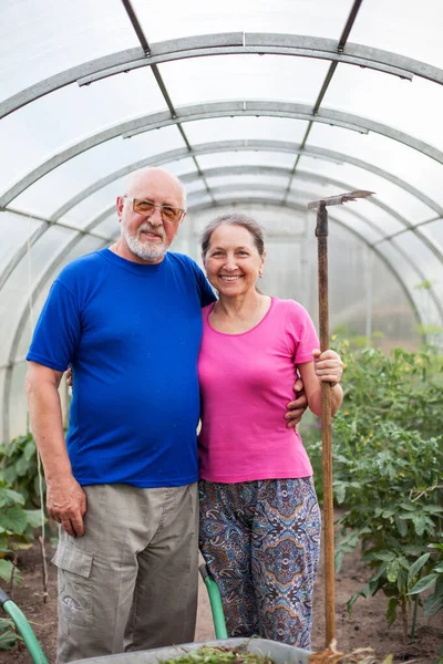 Ηλικιωμένοι άνδρες και γυναίκες στον κήπο λαχανικών — Φωτογραφία Αρχείου