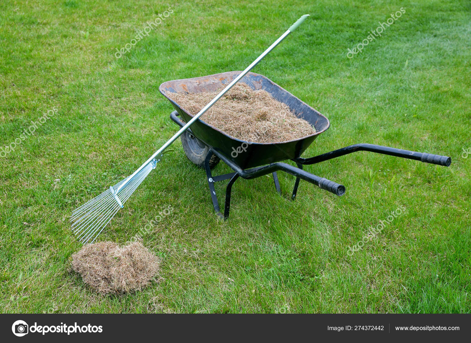 22 Lawn Dethatching Stock Photos Free Royalty Free Lawn Dethatching Images Depositphotos