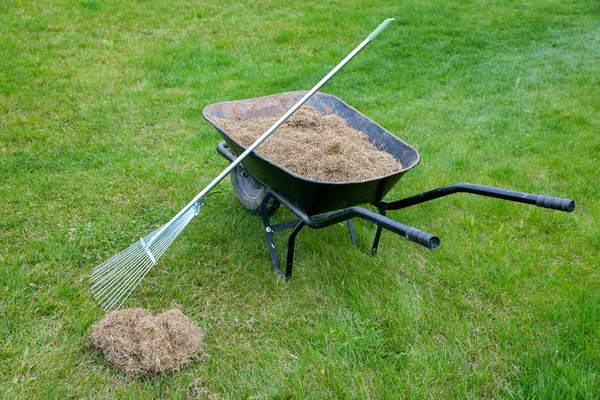 Bahar bahçesinde bir tırmık yosun kaldırma ile dethatching çim — Stok fotoğraf