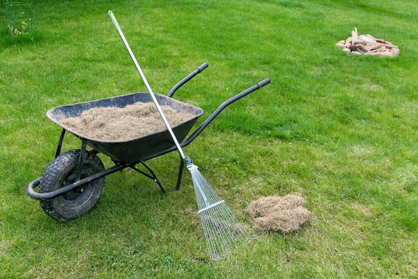 Desthatching césped con una eliminación de musgo rastrillo en el jardín de primavera — Foto de Stock
