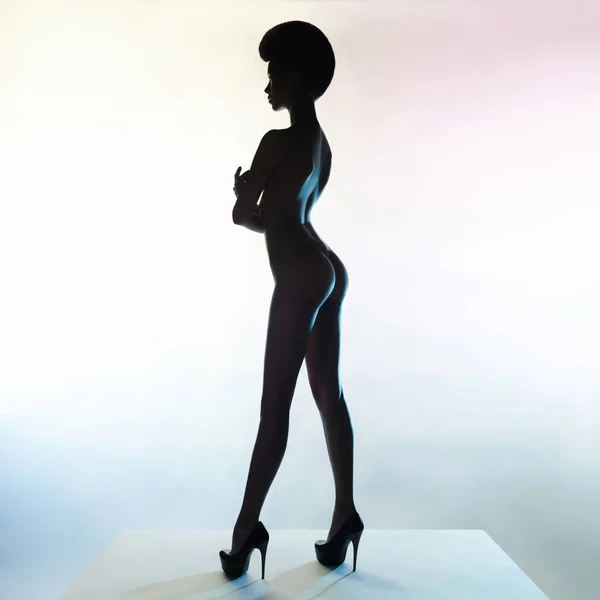 Mujer elegante desnuda — Foto de Stock