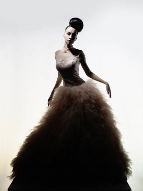 Lüks gece elbisesi güzel zarif kadın