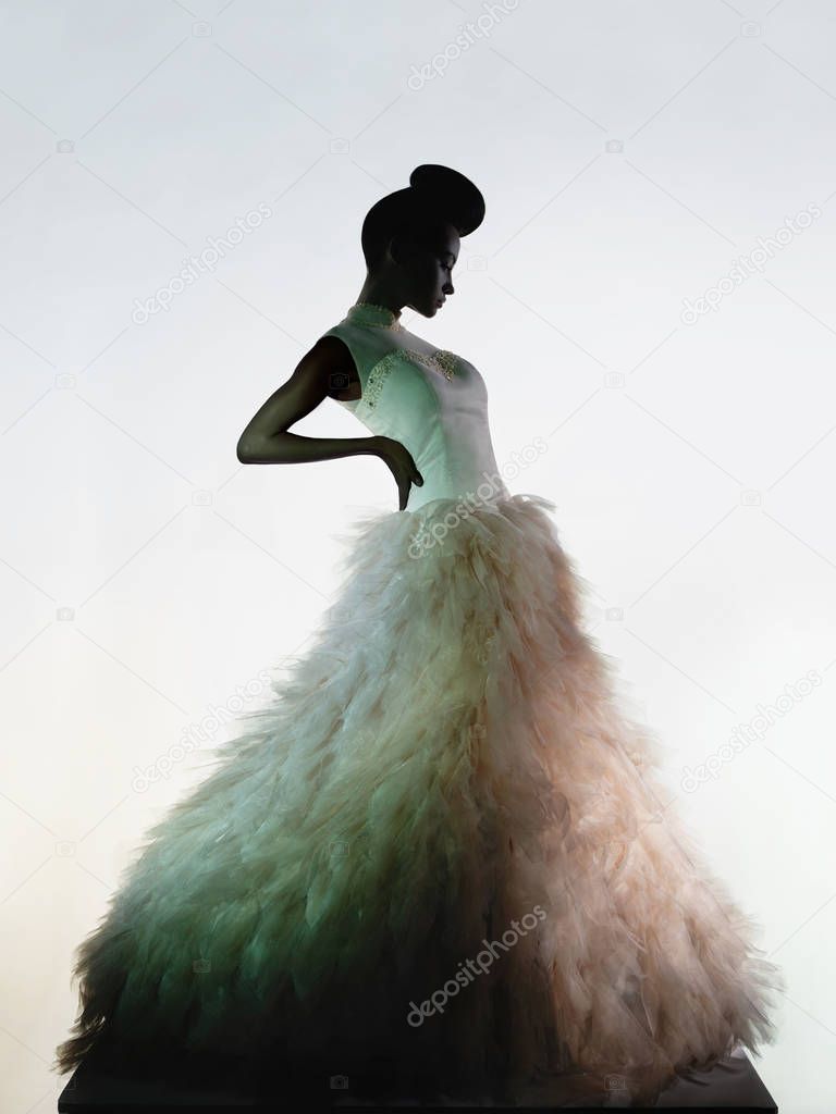 Beautiful elegant woman in luxury evening dress