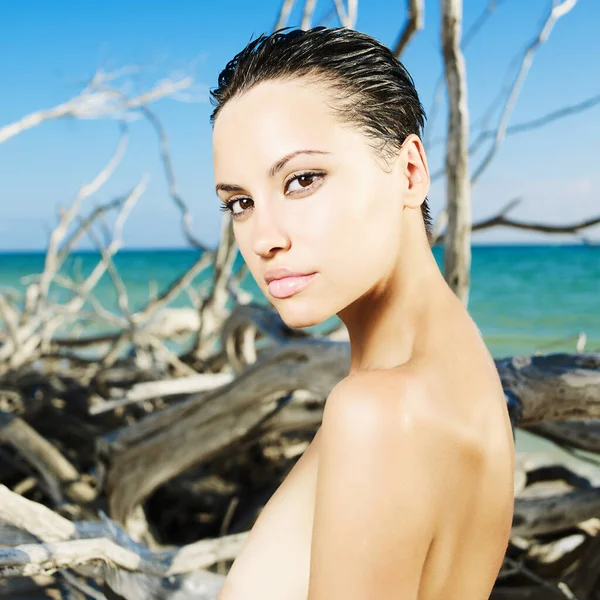 Hermosa Mujer Desnuda Playa Con Madera Deriva Foto Viaje Costa —  Fotos de Stock
