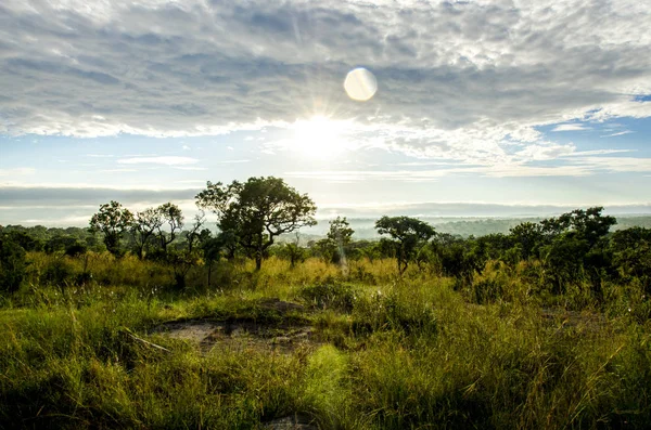 Slunce Vycházející Nad Národního Parku Kruger Jižní Africe — Stock fotografie
