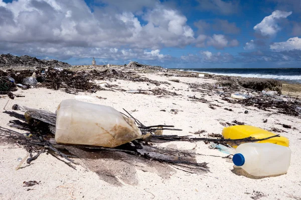 Bir ada Karayipler kıyısında karaya vurmuş çöp