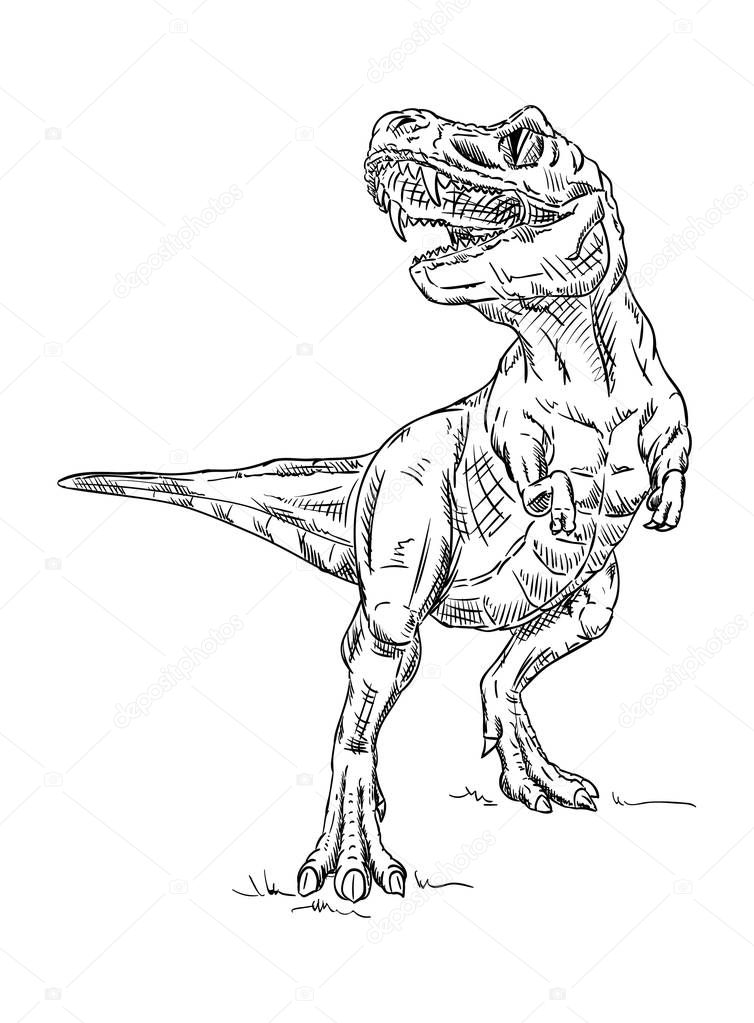 vector - dinosaur , isolated on background