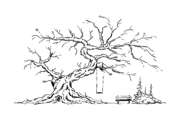 Vector Μεγάλο Παλιό Δέντρο Απομονωμένος Φόντο Ευτυχισμένο Τόπο Πάγκο — Διανυσματικό Αρχείο