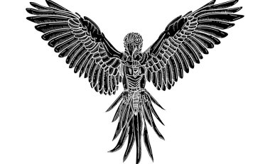 vektör olarak izole - arka plan - papağan