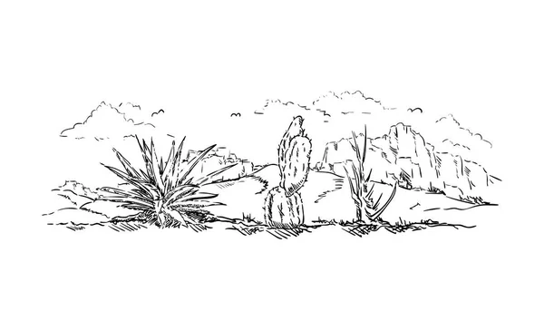 Кактус в пустелі — стоковий вектор