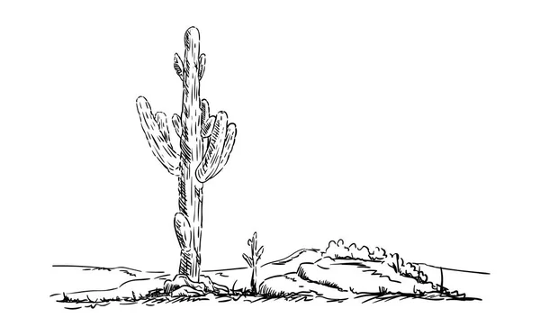 砂漠のサボテン — ストックベクタ