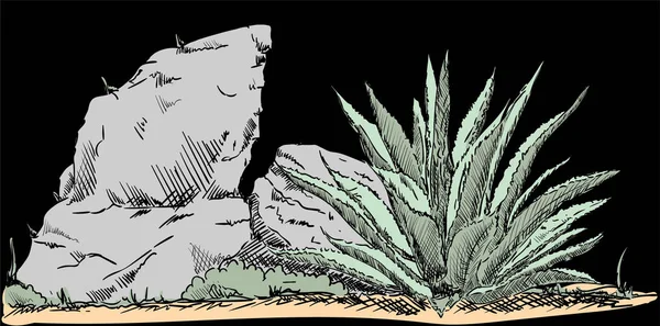 Cactus del deserto — Vettoriale Stock