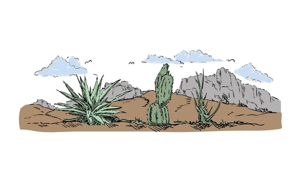 Cactus del deserto — Vettoriale Stock