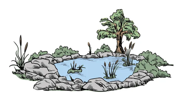 Невеликий ставок, сад — стоковий вектор