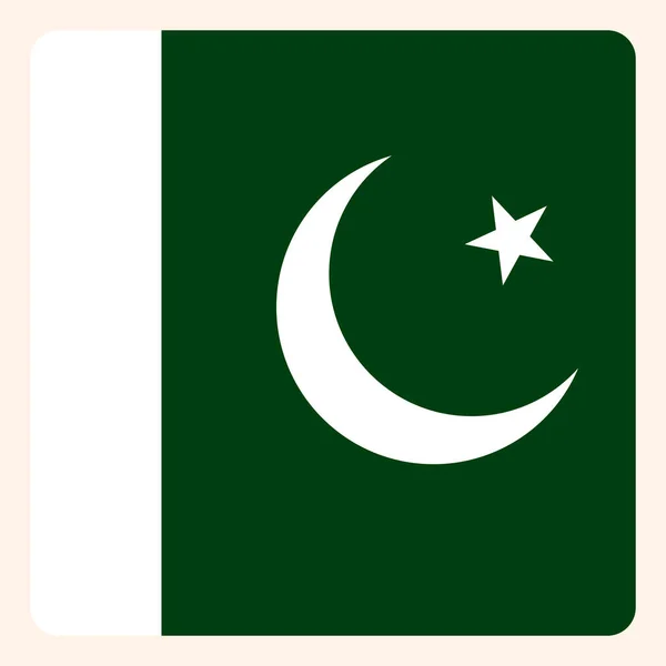 Botón Bandera Cuadrada Pakistán Signo Comunicación Redes Sociales Icono Negocio — Vector de stock