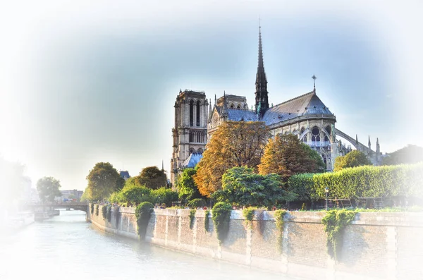 View Notre Dame Paris Sunset — Stock Photo, Image