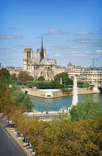 Widok Katedry Notre Dame Paris Słoneczny Dzień — Zdjęcie stockowe