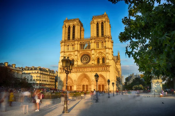 Schöne Aussicht Auf Notre Dame Paris Bei Sonnenuntergang — Stockfoto