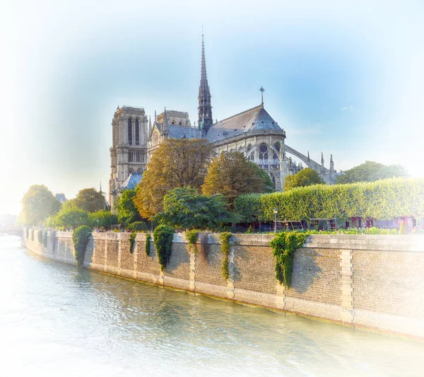 Notre Dame w Paryżu. — Zdjęcie stockowe