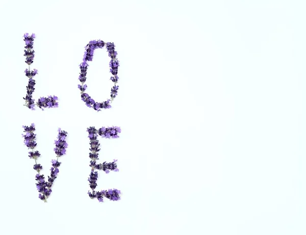 Großbuchstaben Aus Lavendel Auf Weißem Hintergrund Flache Lage Draufsicht Kopierraum — Stockfoto