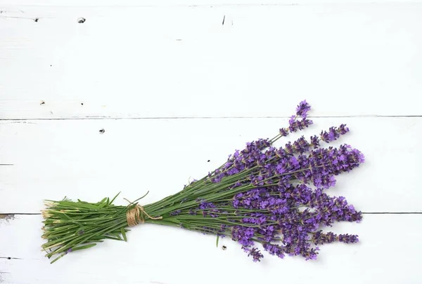 Bunch Fresh Purple Lavender Top View Beautiful Lavender Flowers White — Stock Photo, Image