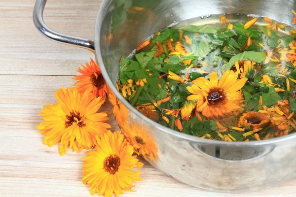 Hacer Ungüento Caléndula Orgánica Maceta Preparación Casera Ungüento Curativo Orgánico —  Fotos de Stock