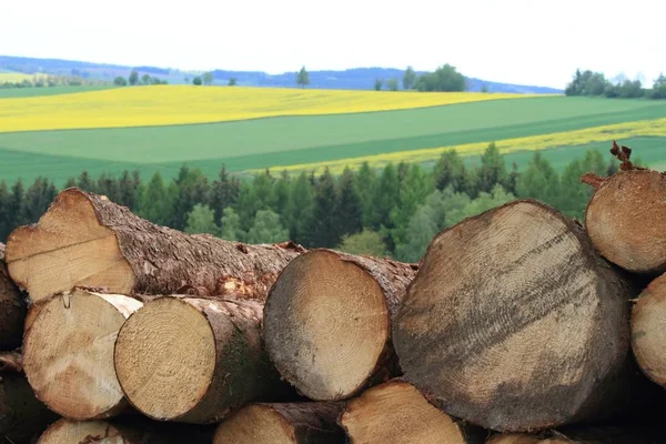 Pilha Uns Logs Madeira Detalhadamente Área Rural Bonita Com Campos — Fotografia de Stock