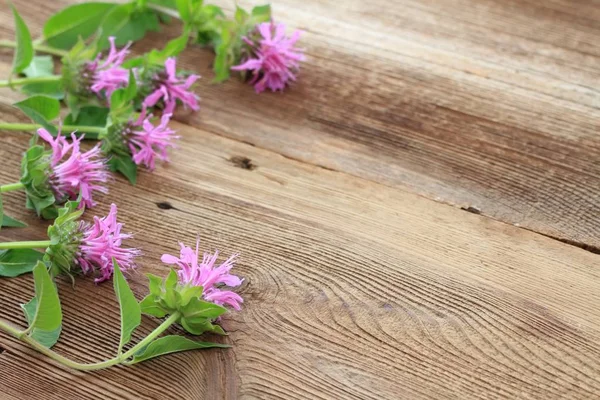 Flower Background Bergamot Background Flowers Monarda Didyma Woodem Board — Stock Photo, Image