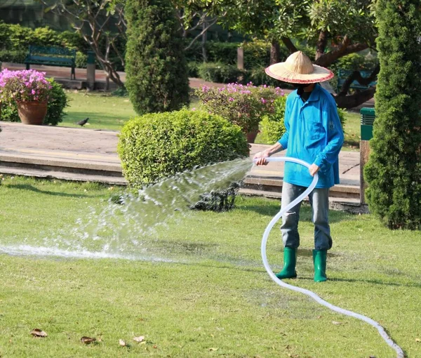 Worker Watering Beautiful Park Hose Photo Taken Bangkok Thailand February — Stock Photo, Image