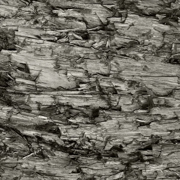 Natural Weathered Grey Taupe Brown Cut Tree Stump Texture Large — Stock Photo, Image