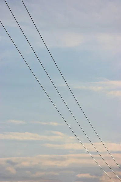 Sommerabendhimmel Hintergrund Vertikale Hellblaue Skyscape Kopierraum Drei Hochspannungskabel Kabel Rosa — Stockfoto