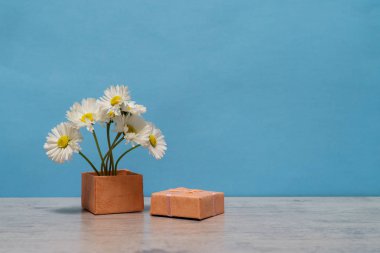 Yaz yaratıcı natürmort en az tarzı. Beyaz Marguerite papatya çiçekler Buket açık mavi renkli küçük pembe hediye kutusunda