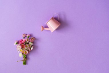 Yaz yaratıcı kompozisyon en az tarzı. Beyaz ve pembe Marguerite papatya çiçek buketi ve açık Lila renkli üzerinde küçük sulama olabilir. Kavram Bahçe, üstten görünüm, düz yatıyordu, kopya alanı