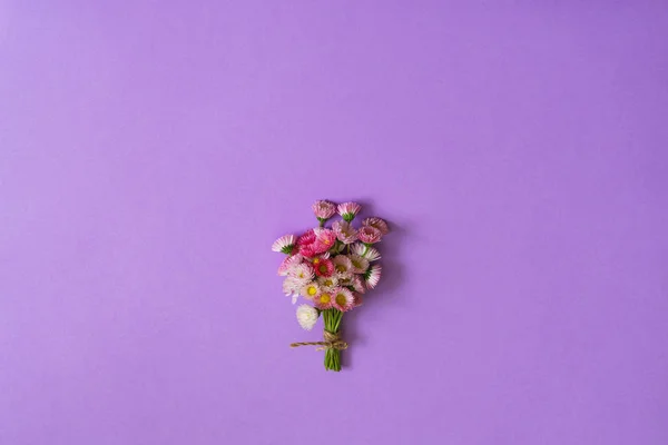 Summer creative composition in minimal style. White and pink Marguerite daisy flowers bouquet lying on light lilac background. Top view, flat lay, copy space