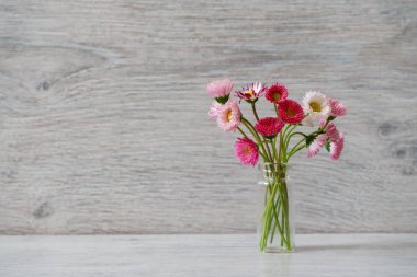 Yaz yaratıcı natürmort en az tarzı. Küçük cam şişe ışık gri arka plan üzerinde beyaz ve pembe Marguerite papatya çiçek buketi