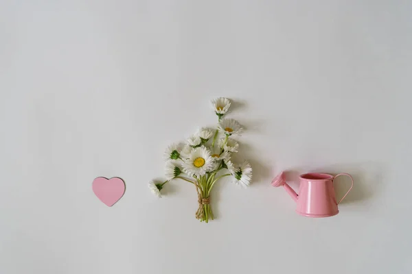 Summer creative composition in minimal style. White Marguerite daisy flowers bouquet, small pink watering can and heart on white background. Gardening concept, top view, flat lay, copy space