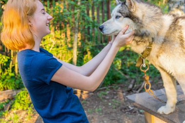 Güzel genç bir bayanla Sibirya hasky doğurmak batımında yaz ormandaki onun sevimli şirin köpek. Mutlu genç kız ve evde beslenen hayvan. Otantik yaşam tarzı anlar