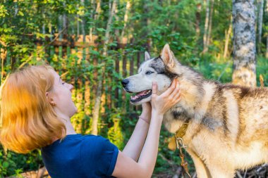Güzel genç bir bayanla Sibirya hasky doğurmak batımında yaz ormandaki onun sevimli şirin köpek. Mutlu genç kız ve evde beslenen hayvan. Otantik yaşam tarzı anlar