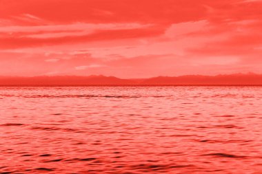 Yaz peyzaj manzaralı bir göl günbatımı yıl 2019 yaşayan mercan pantone renk de akşam