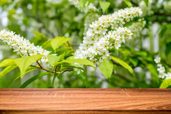 Mesa Madera Vacía Con Fondo Borroso Primavera Flores Cerezo Pájaro —  Fotos de Stock