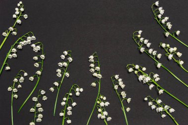 Siyah arka plan üzerine lily vadi çiçek çiçek sınır. Sevgililer, kadın ya da anneler günü, düğün, bahar ya da yaz konsepti. Düz yatıyordu, en iyi görünüm, kopya alanı